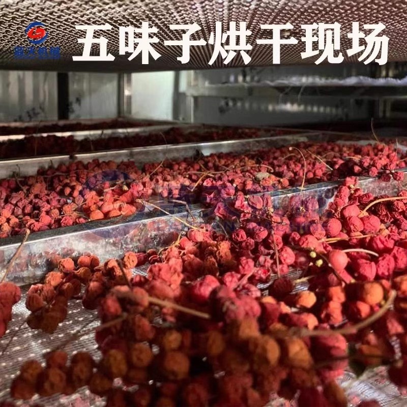 烘干五味子机器五味子电烤房中药材五味子烘干房五味子风干机
