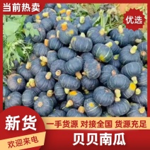 贝贝南南瓜大量贷源，对接各大市场，电商＇超市