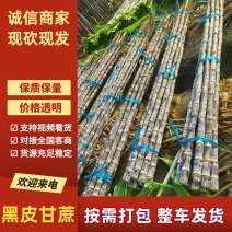 广东黑皮甘蔗已大量上市，对接各大电商，各大商超，市场，