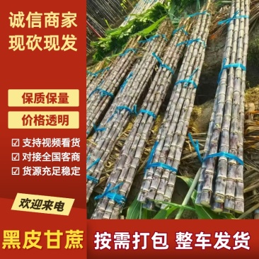 广东黑皮甘蔗已大量上市，对接各大电商，各大商超，市场，