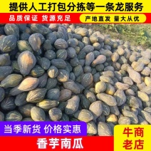 香芋南瓜，大量上市，超粉，超香，超甜，商超，市场，货