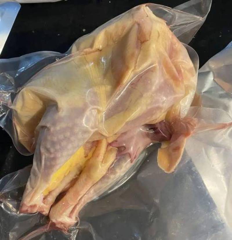清远生鲜三黄鸡，麻鸡，走地鸡