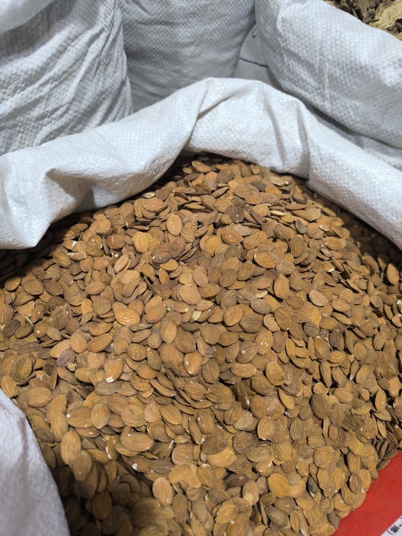 桃仁扁桃仁家桃仁山桃仁炒桃仁去皮桃仁地道中药
