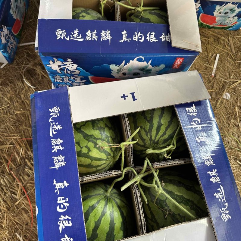 宁夏二茬，精品货，果型漂亮，产地直发