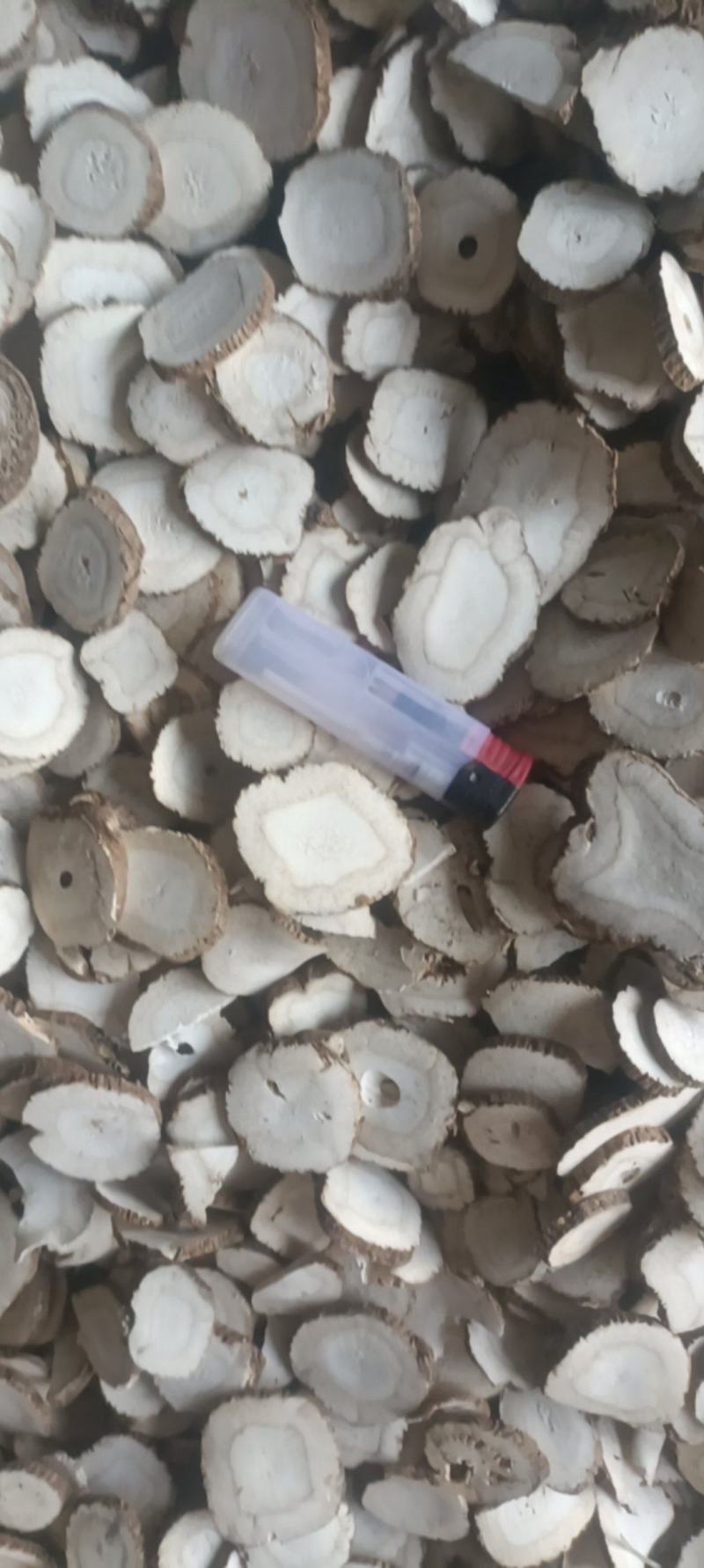 无硫白芷大片