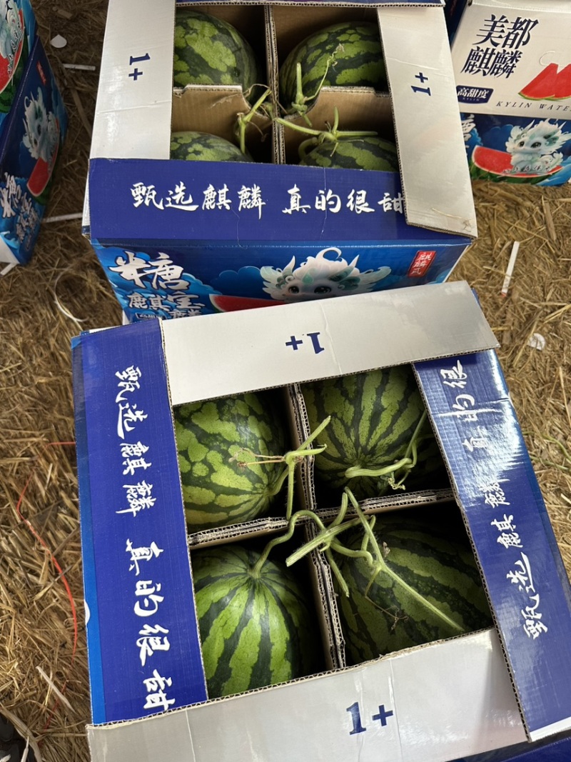 宁夏二茬，精品货，果型漂亮，产地直发