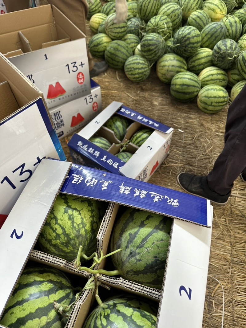 宁夏二茬，精品货，果型漂亮，产地直发