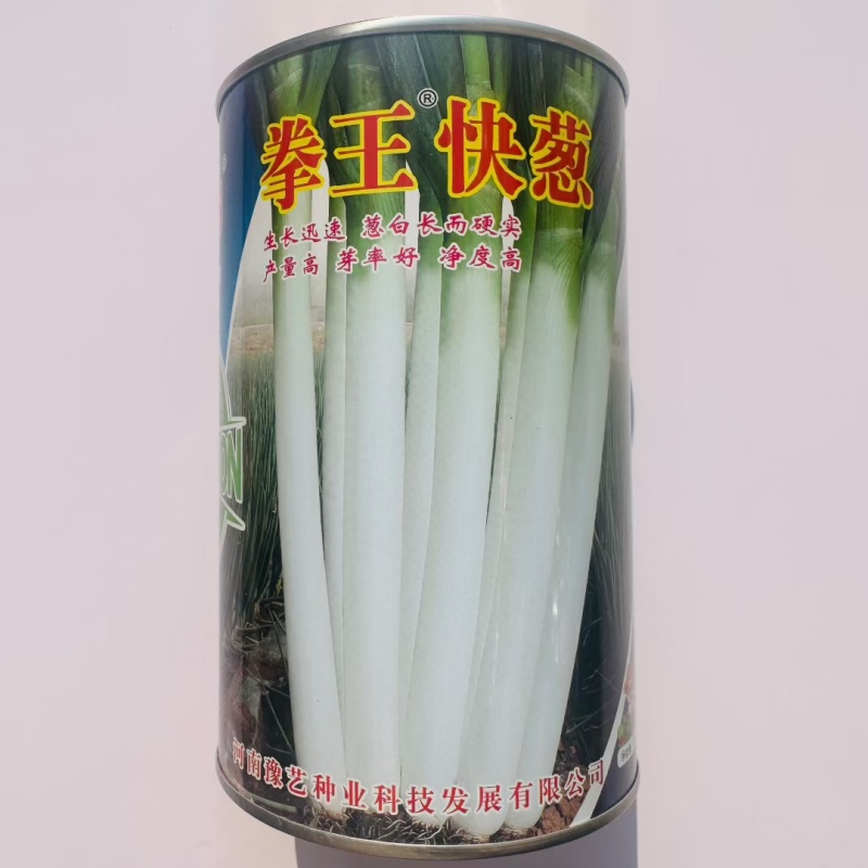 豫艺拳王快葱种子葱白长山东大葱种子葱叶墨绿长白葱种子耐寒