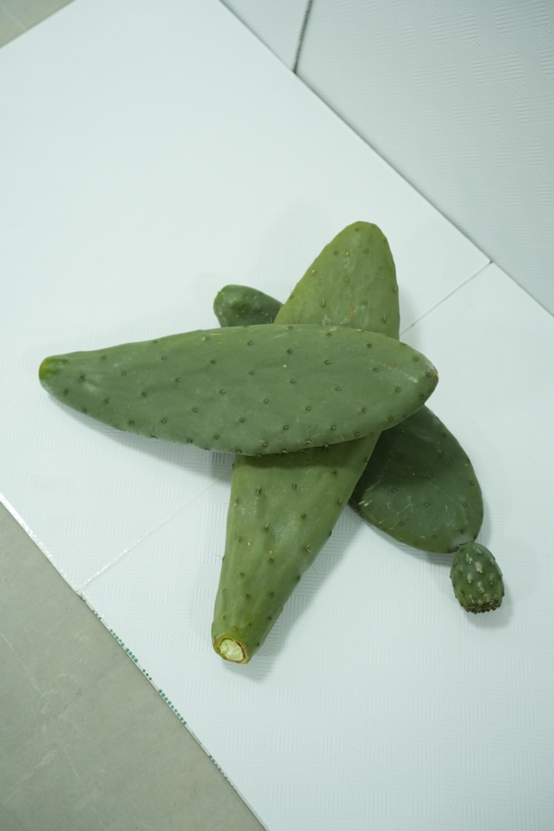 一亩绿仙人掌原浆餐饮茶饮咖啡食品饮料工厂一手货源
