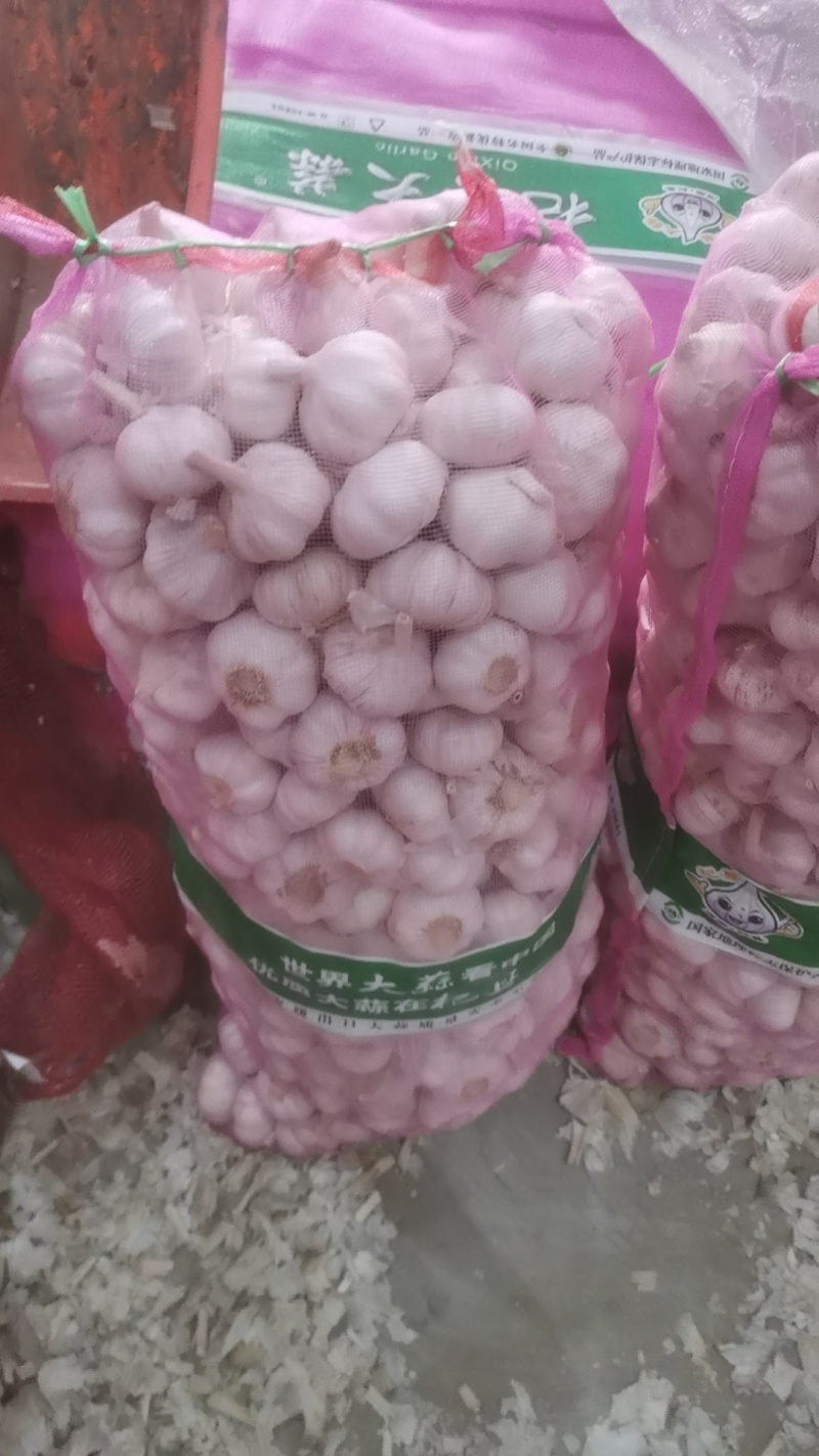 【优质大蒜】河南大蒜，规格齐全，产地直发诚信经营