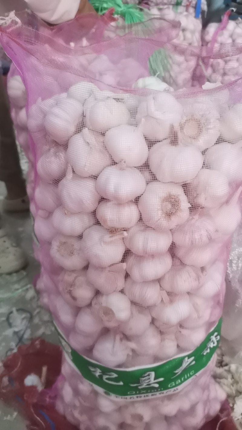 【优质大蒜】河南大蒜，规格齐全，产地直发诚信经营