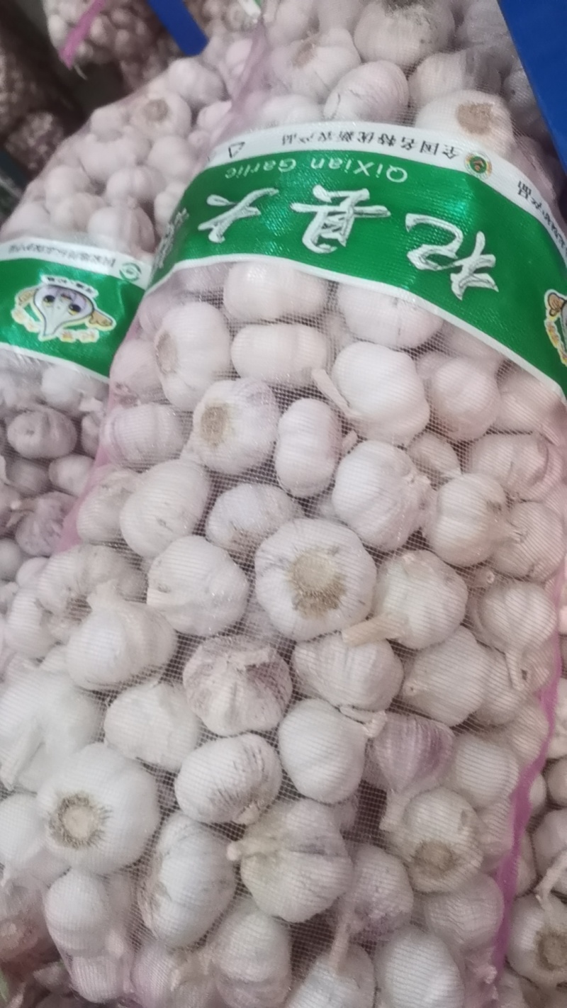 【优质大蒜】河南大蒜，规格齐全，产地直发诚信经营