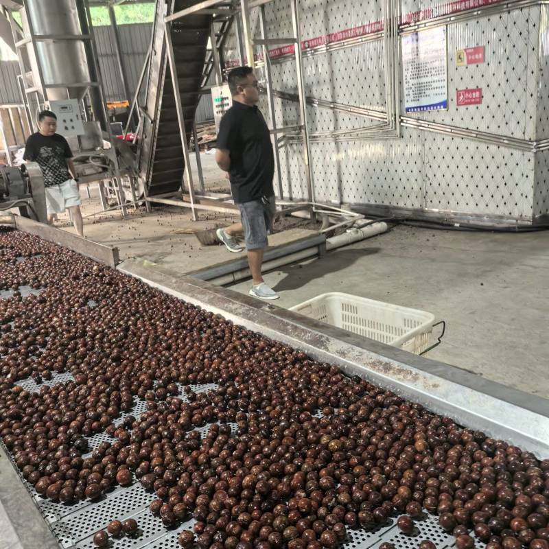夏威夷果大量上市