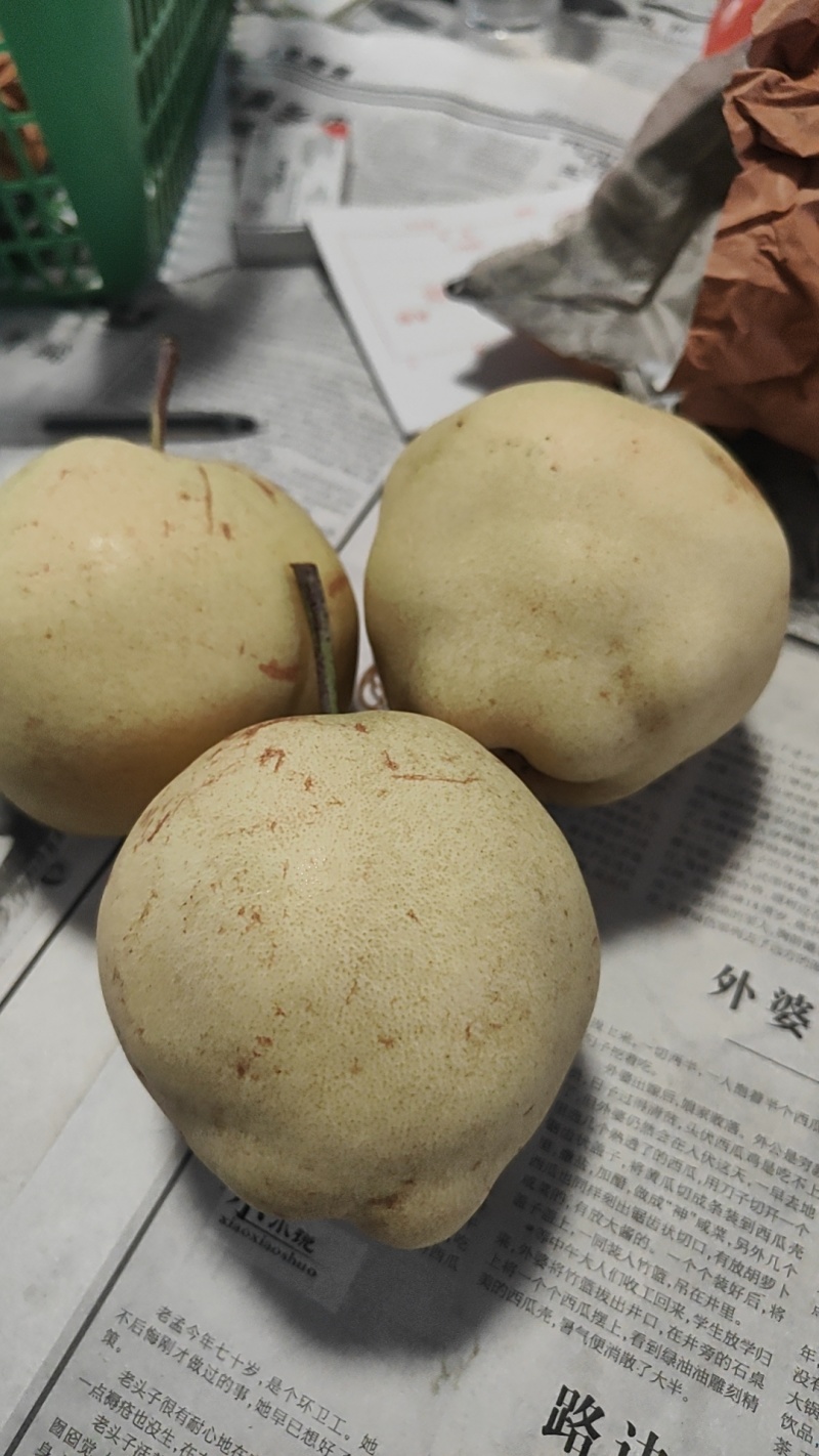 玉露香梨