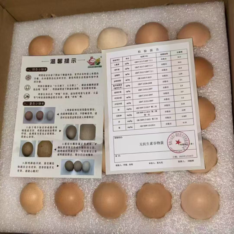 江苏自家养鸡场鸡蛋草鸡蛋接团购批发/量大优惠/可一件代发