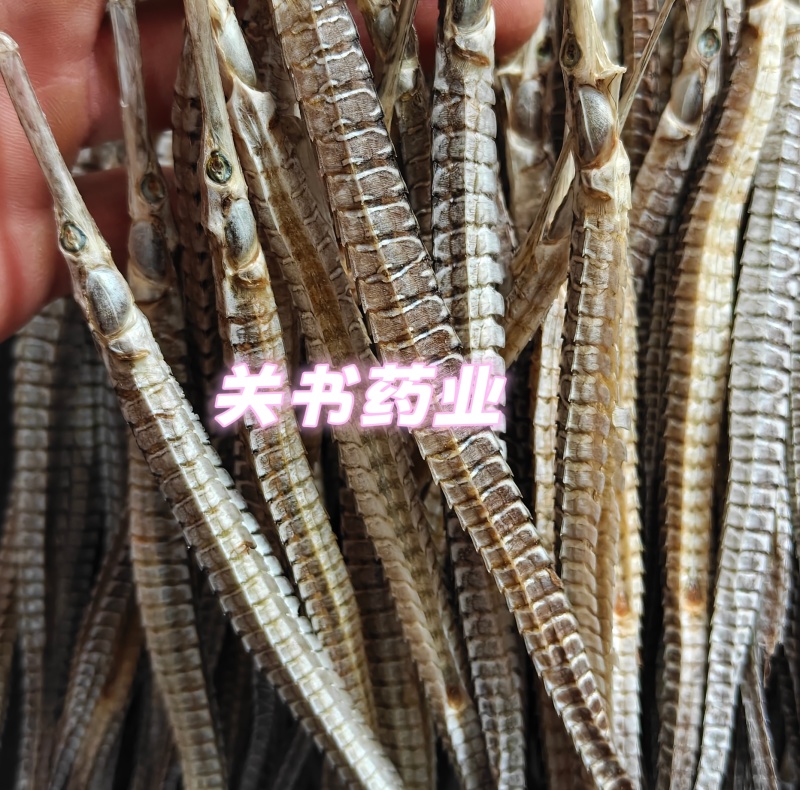 海龙，选六角海龙，新货，实拍图关书药业专注品质如图所示