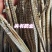 海龙，选六角海龙，新货，实拍图关书药业专注品质如图所示