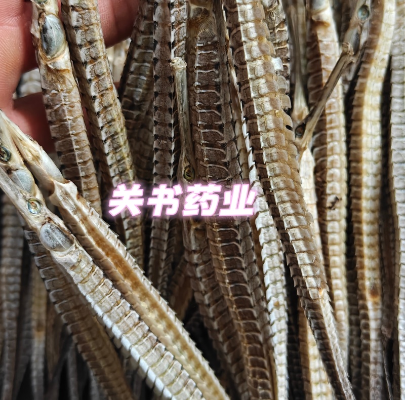 海龙，选六角海龙，新货，实拍图关书药业专注品质如图所示
