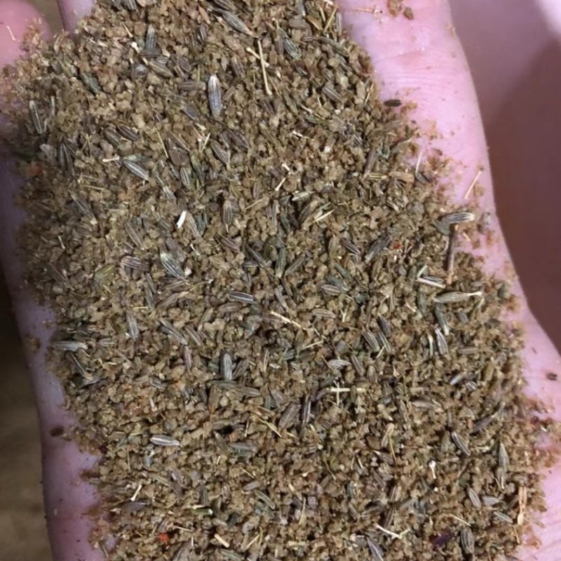 新疆孜然孜然碎半颗粒