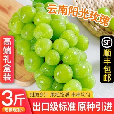 阳光玫瑰葡萄全国发货，批发最优惠