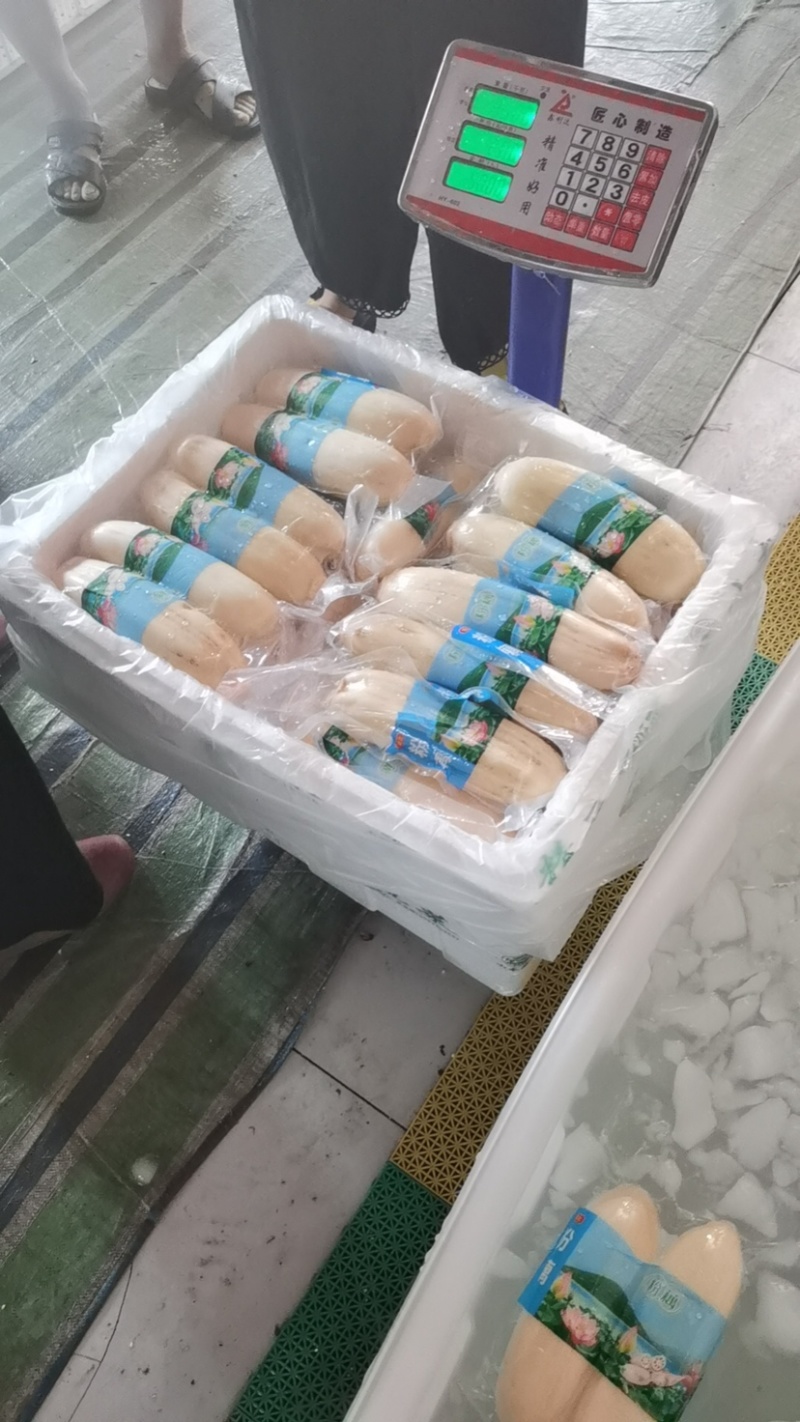 粉藕，洪湖莲藕，湖北粉藕，产地直销，按需做货