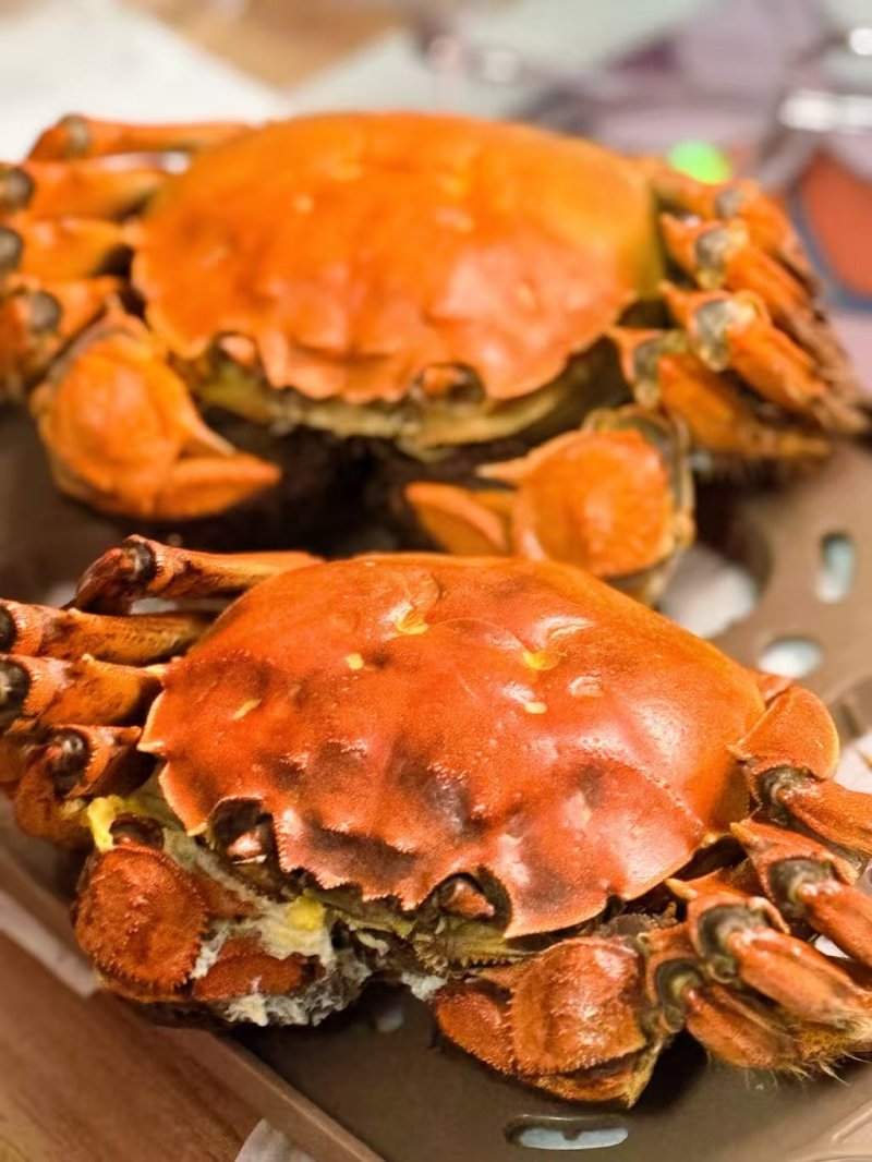 精品大闸蟹只只精品肉质饱满鲜甜可口