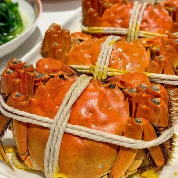 精品大闸蟹只只精品肉质饱满鲜甜可口