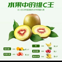苍溪红心猕猴桃