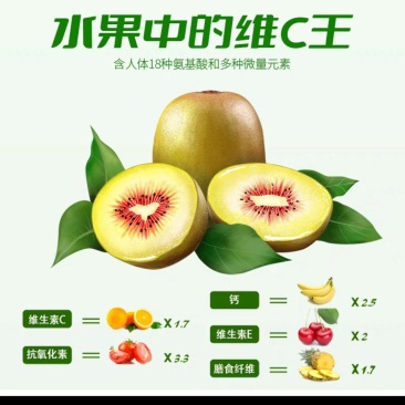 苍溪红心猕猴桃