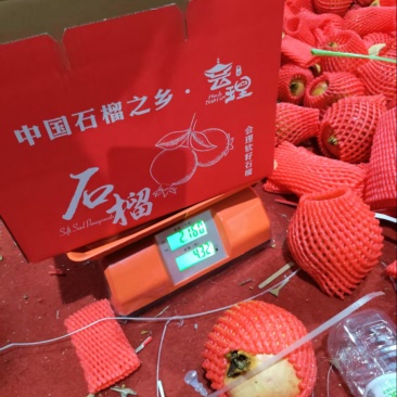 会理软籽石榴电商社区团购