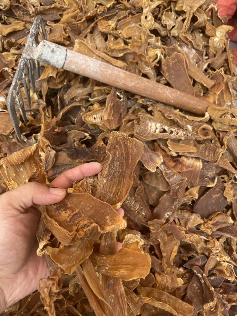 广西田林县八渡笋片笋干小笋片竹笋干农家自制天然日晒土特产