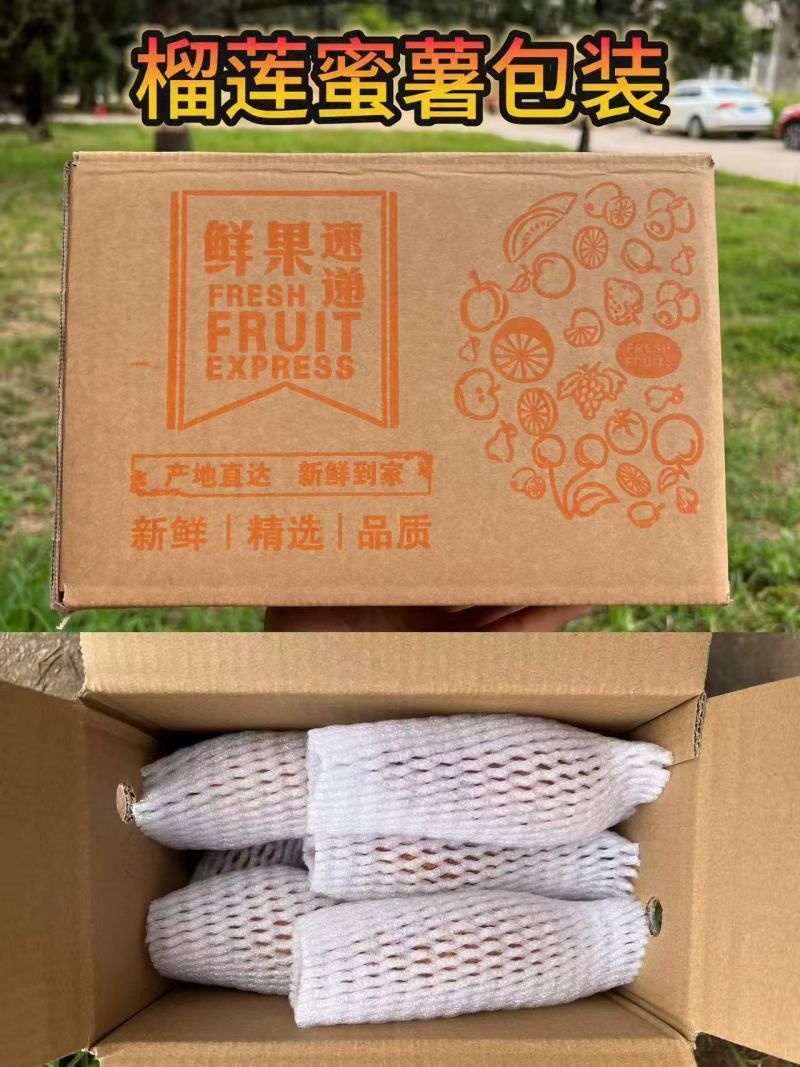 云南榴莲蜜薯（鸣门金石）上架冰糖的甜可蒸可煮可烤