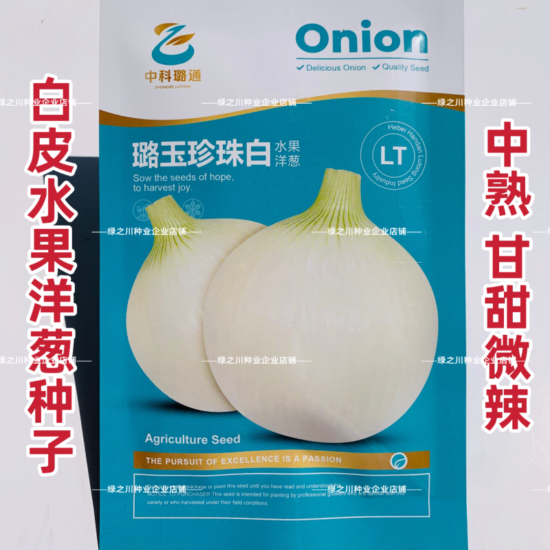 白色水果洋葱种子璐玉珍珠白洋葱种籽白皮洋葱种甘甜微辣葱籽