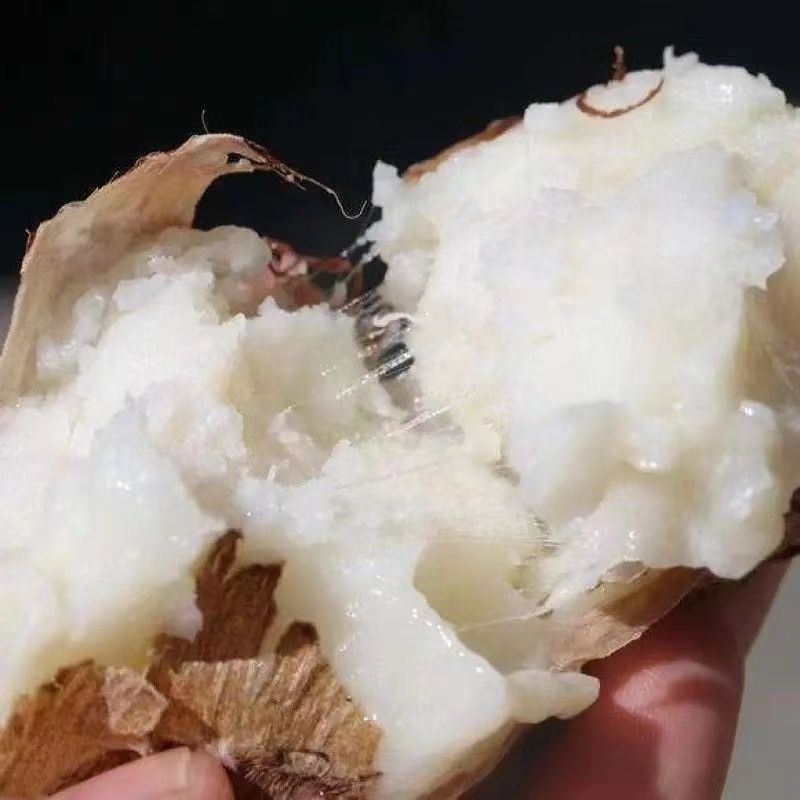 新鲜的山东牛奶毛芋头支持分拣，