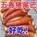 五香猪尾巴新鲜开袋真空包装真空熟食即食卤猪下