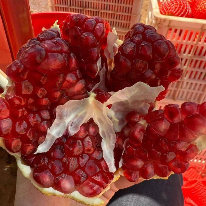 中国会理石榴