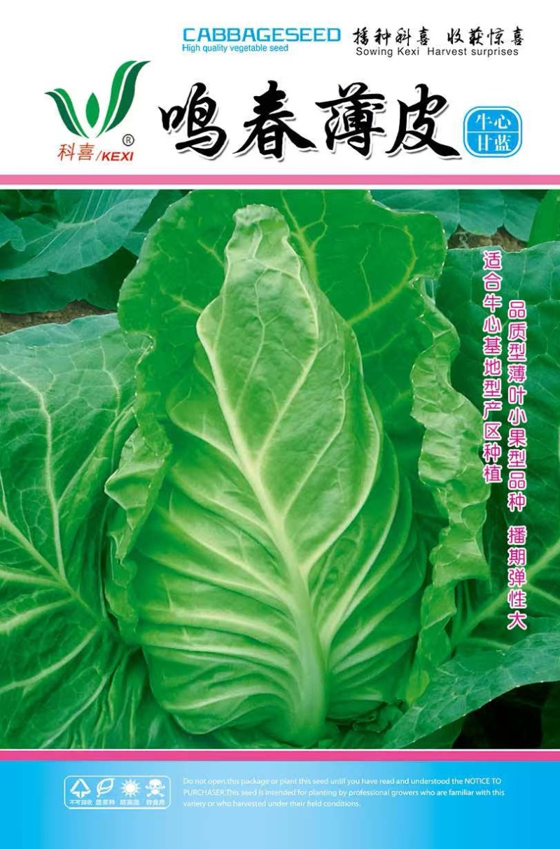 甘蓝种子鸣春薄皮耐寒越冬早春型薄皮牛心甘蓝播期弹性大