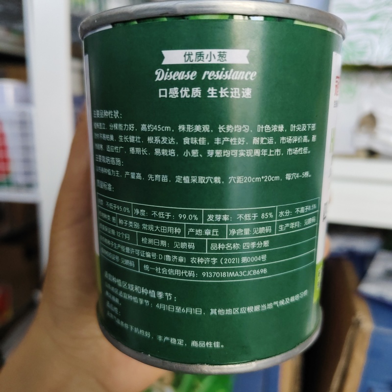 小分葱种子分多多浓香型葱种子耐热耐寒性强，不易出现枯叶