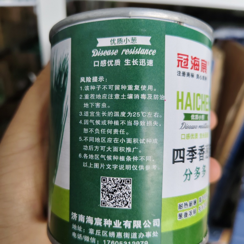 小分葱种子分多多浓香型葱种子耐热耐寒性强，不易出现枯叶