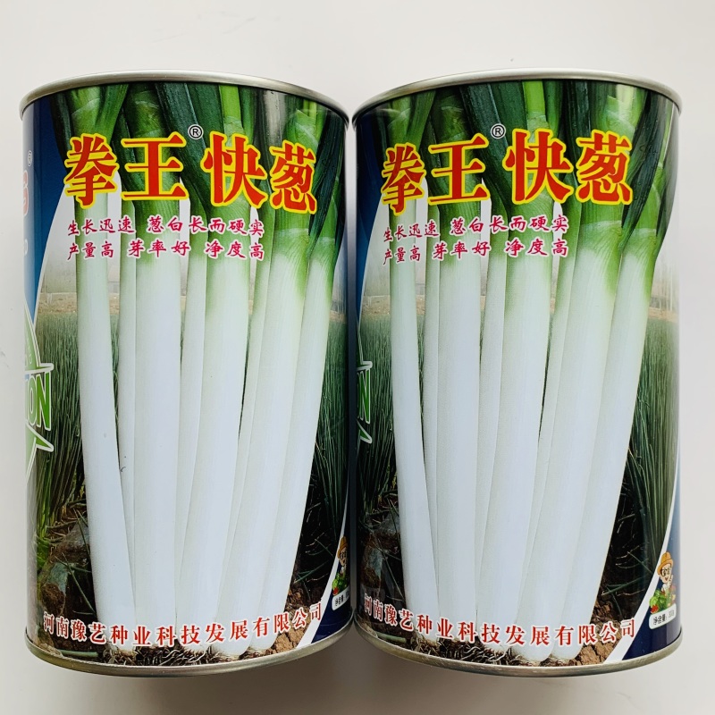 豫艺大葱种子拳王快葱种子生长快丰产葱白长大颗长白葱种子