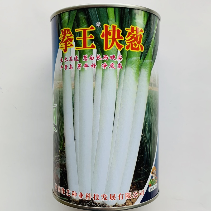 豫艺大葱种子拳王快葱种子生长快丰产葱白长大颗长白葱种子