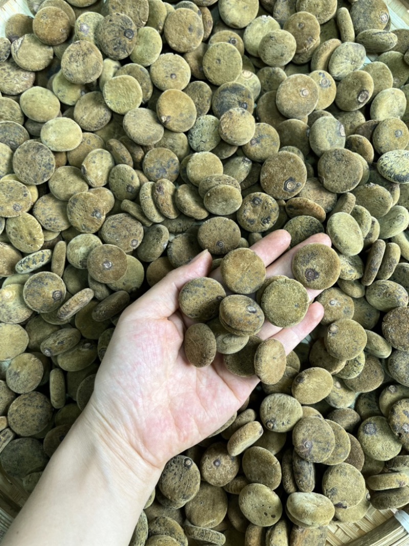 化橘红胎果饼约2.5公分量大批发化州橘红平定厂家