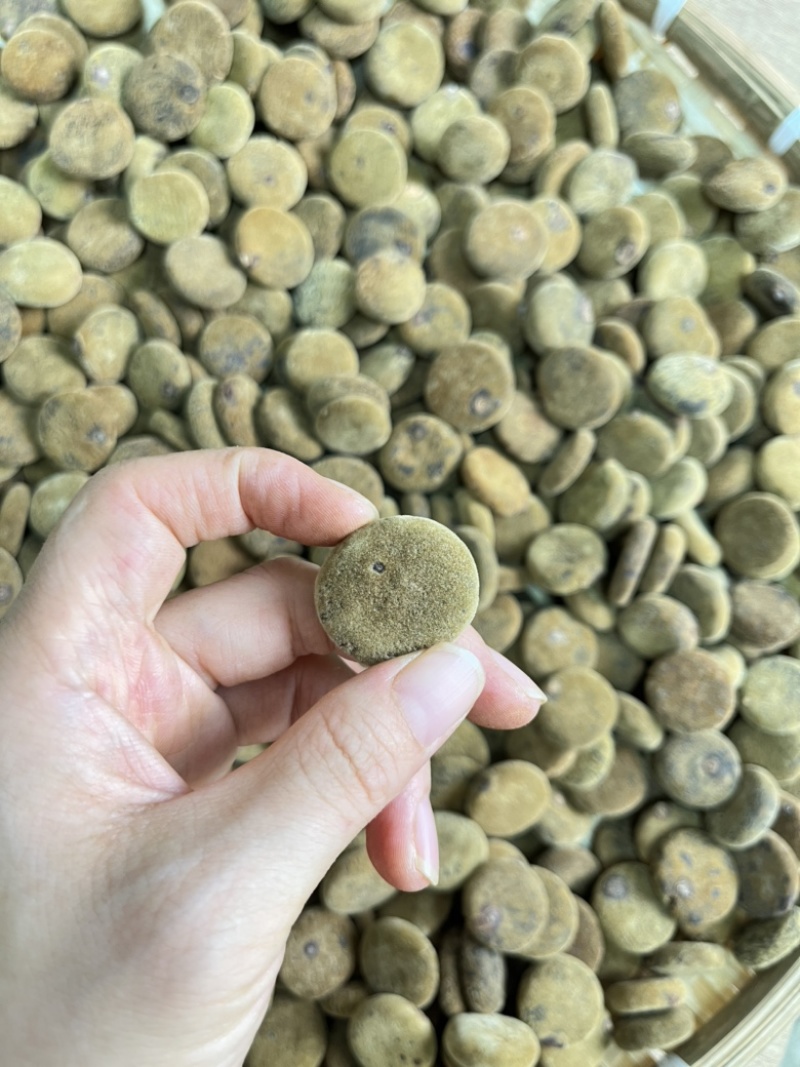 化橘红胎果饼约2.5公分量大批发化州橘红平定厂家