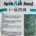 荷兰先锋菠菜种子国外引进优良菠菜种籽耐热耐寒性好