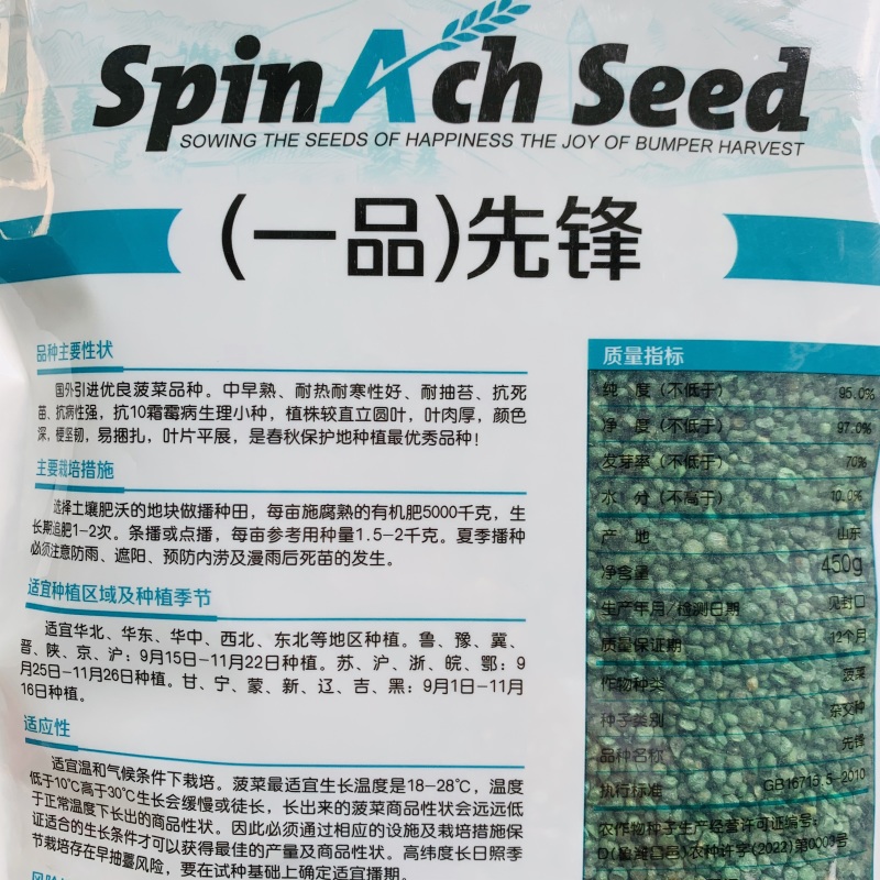 荷兰先锋菠菜种子国外引进优良菠菜种籽耐热耐寒性好