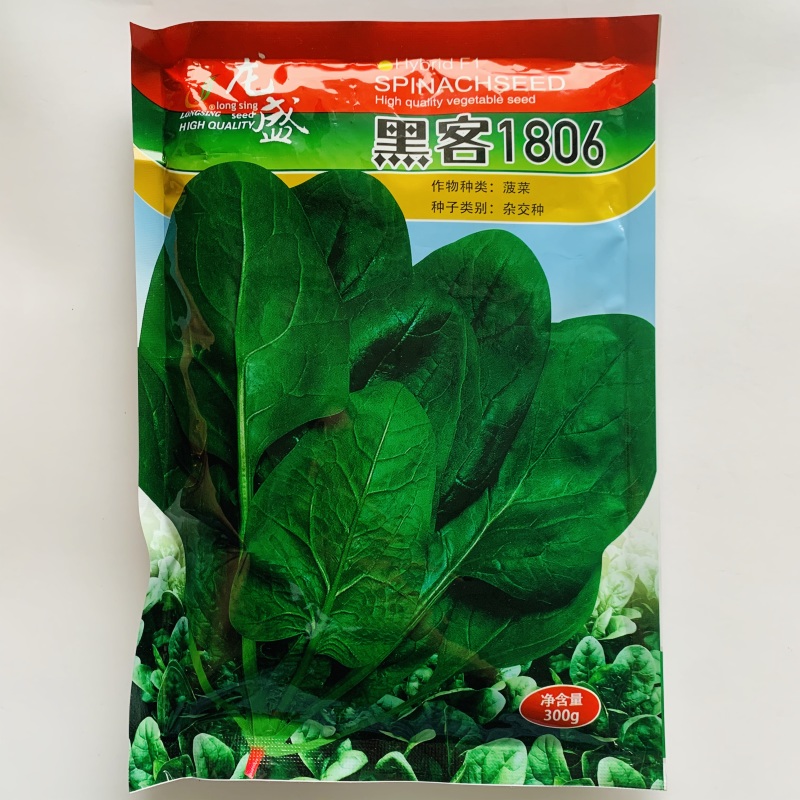 黑客1806菠菜种子抗病高产进口菠菜种子深绿色根较红春秋