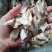 牛大力干片粉质小粉中粉大粉无硫