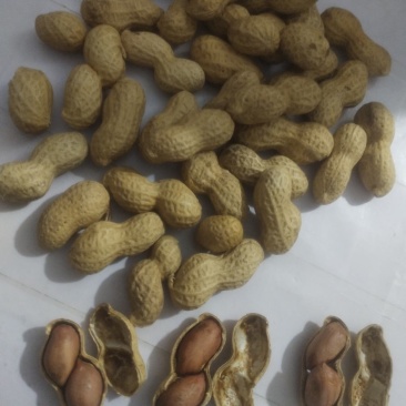 农村水煮花生，手工炒花生，农村特产，香脆可口，回味无穷！