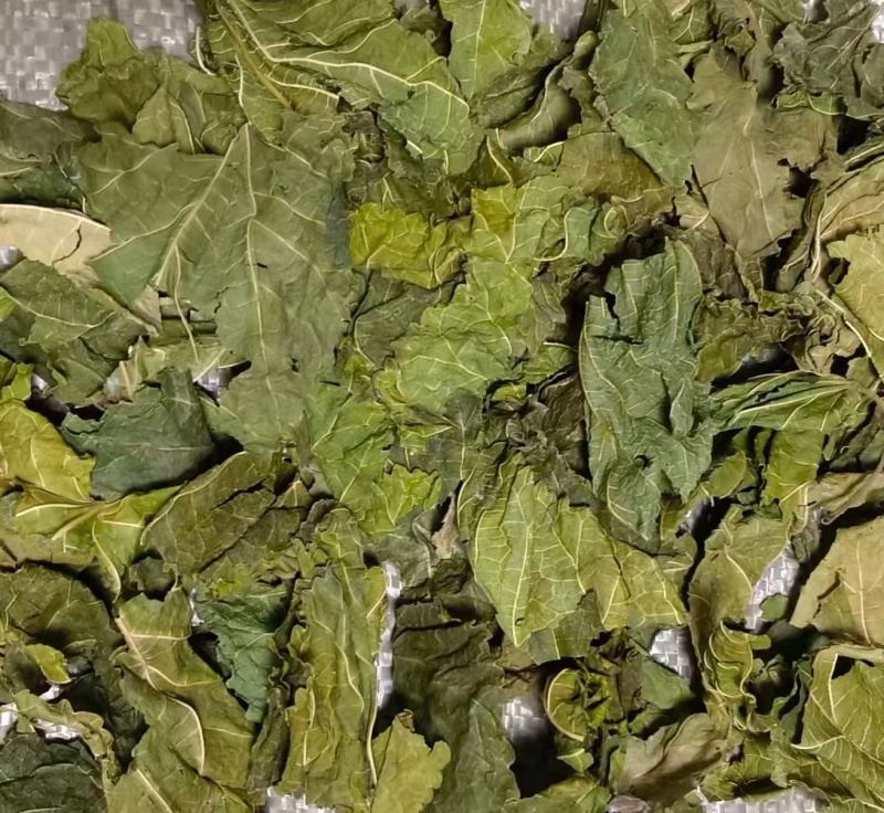 桑叶产区，量大从优，价优品廉，产地直发。