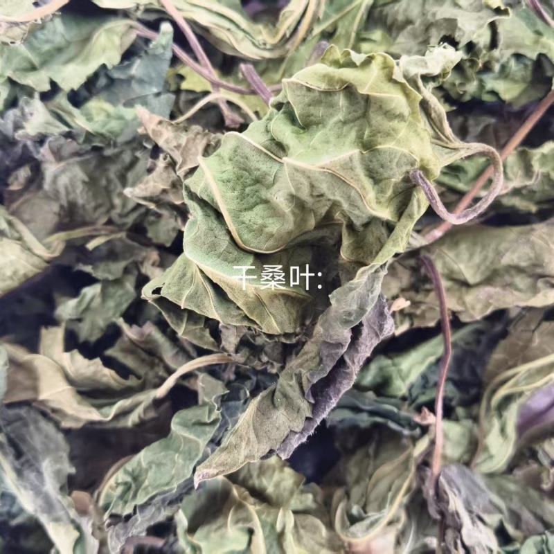 桑叶产区，量大从优，价优品廉，产地直发。